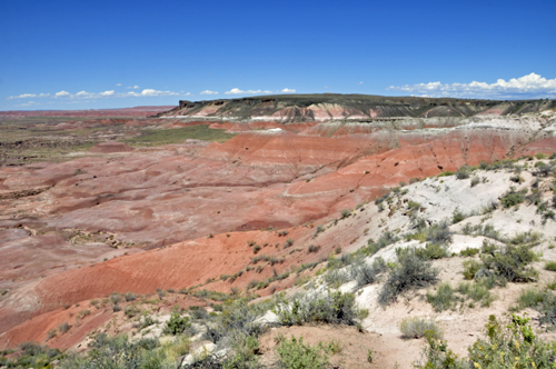 The Painted Desert as seen from Lacey Point